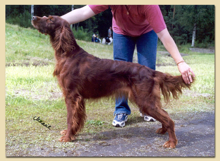 Redseeker Pretty 2002